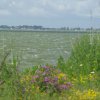 Tour 14: Darß - 3